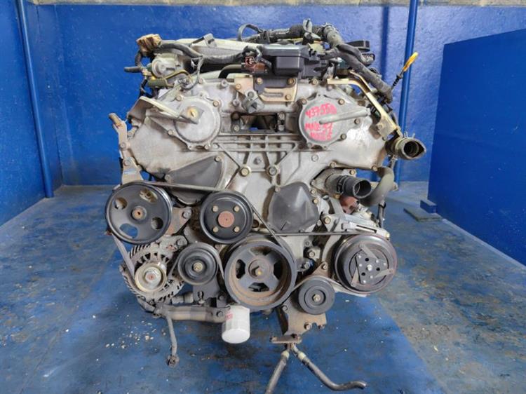 Двигатель Ниссан Эльгранд в Клине 437558